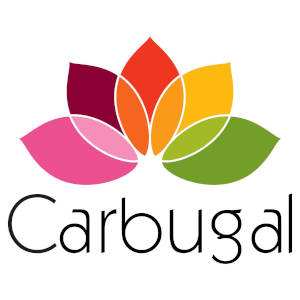 Gasolinera CARBUGAL COLISEUM de CORUÑA (A) en CALLE FRANCISCO PEREZ CARBALLO, S/N